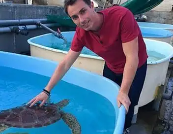Héroïnes de nature - Les animaux marins de l'île de la Réunion – affiche