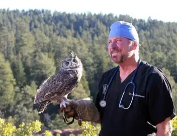 Dr Ole : Mission sauvetage - Saison 1 - Le loup et la chouette – affiche