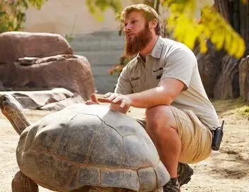Le zoo de San Diego - Saison 1 - Nouveau jour pour vieille tortue – affiche