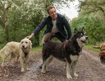 Sur le front - D'où viennent les chiens à la mode ? – affiche