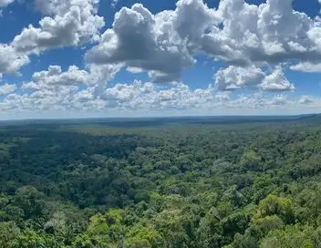 Les cités perdues de l'Amazonie – affiche