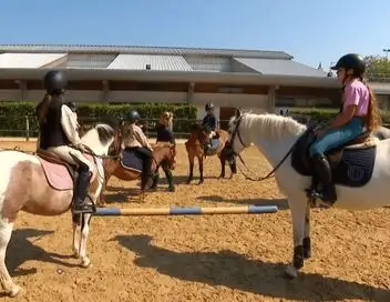 Au galop ! - Saison 6 - Au travail les poneys ! – affiche