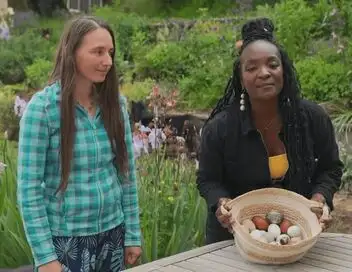 C'est toujours pas sorcier - Saison 8 - Les secrets des ovipares – affiche