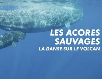 Les Açores sauvages - La danse sur le volcan – affiche