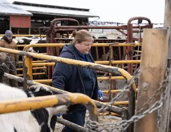 L'incroyable Dr Pol - Saison 12 - Bagarre et boules de poils – affiche