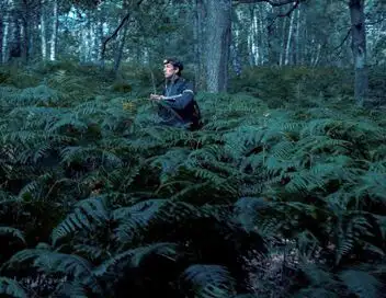 Mondes sauvages - Saison 1 - Chauves-souris, les sentinelles de la forêt – affiche
