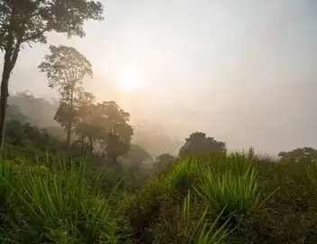 Baroudeurs - 28 jours dans l'enfer vert du Honduras – affiche