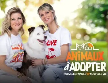 Animaux à adopter : nouvelle famille pour une nouvelle vie - Gypsy et Principé – affiche