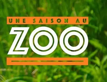 Une saison au zoo - Saison 14 – affiche