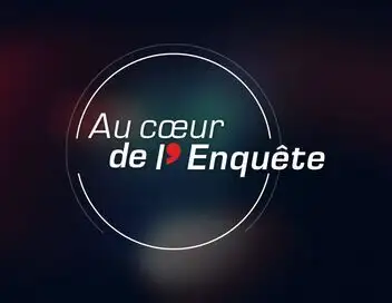 Au coeur de l'enquête - Fourrières, Stationnements: Le Grand Racket – affiche