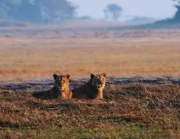 Afrique, royaume impitoyable - Saison 1 - Dans les récifs – affiche