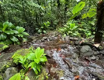 Au fil de l'eau - Guadeloupe, l'archipel des ouassous – affiche