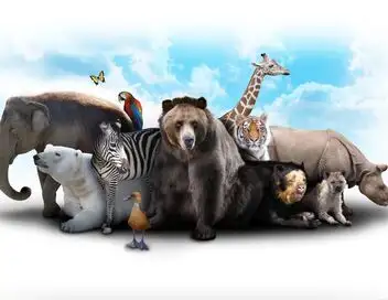 Destination Wild : Alaska - Alaska à l'état sauvage – affiche