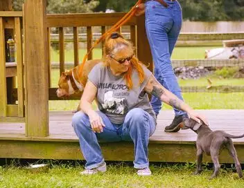 Pitbulls et prisonniers - Saison 12 - Changement à l'horizon – affiche