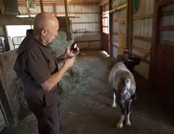 L'incroyable Dr Pol - Saison 7 - Joyeux anniversaire ! – affiche