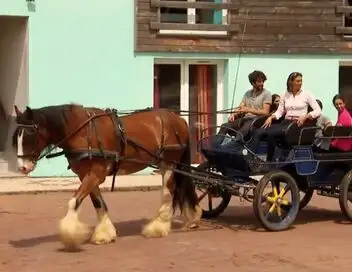 Au galop ! - Saison 6 - Le Poney club à Lamotte-Beuvron – affiche