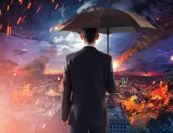 Immersion dans une méga fourrière – affiche