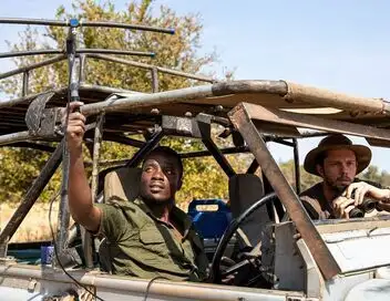 Sur la piste des chiens sauvages d'Afrique - Saison 2 - L'heure des adieux – affiche