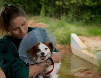 Critter Fixers : Vétos de choc - Saison 4 - Sauvez Hammy – affiche