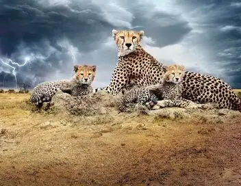 Kenya : au rythme des pluies - Saison 1 - Après le déluge – affiche