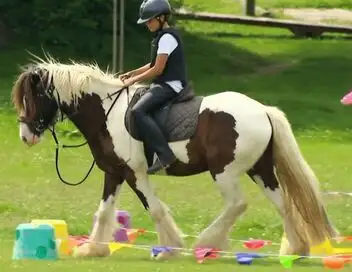 Au galop ! - Saison 6 - Des écuries sous haute tension – affiche