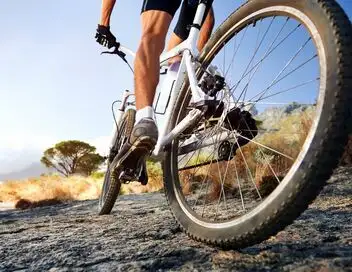 VTT : Entre deux courses – affiche