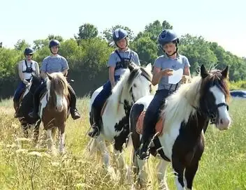 Au galop ! - Saison 6 - Le Bivouac des Firfolais – affiche