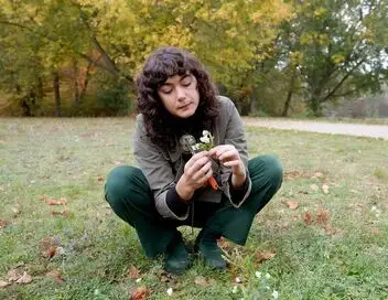 Voyage gourmand - Saison 2 - Les plantes sauvages – affiche