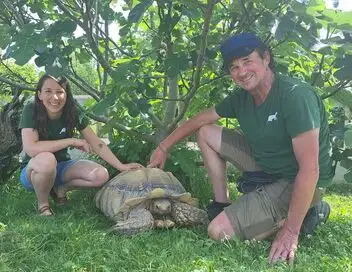 Passe-moi les jumelles - La famille tortue – affiche