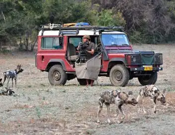 Sur la piste des chiens sauvages d'Afrique - Saison 2 - Une traque difficile – affiche