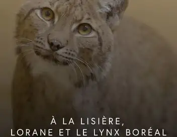 A la lisière, Lorane et le lynx boréal - Saison 1 – affiche