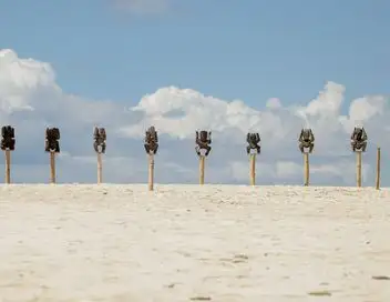 Koh-Lanta - Saison 29 - All Stars – affiche