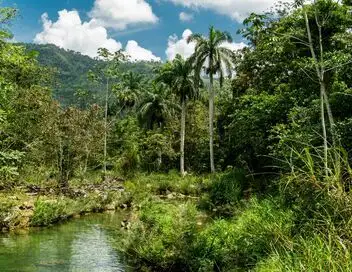 Destination Wild : L'Inde à l'état sauvage - Inde, les rois de la jungle – affiche