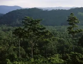 Equator's Wild Secrets - Saison 1 - Bornéo et Sumatra – affiche