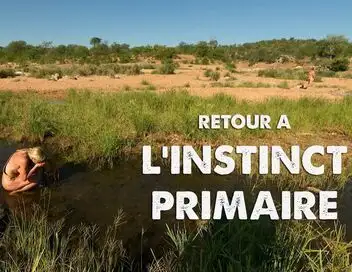 Retour à l'instinct primaire : Restons groupés - Saison 10 - La preuve par A + B – affiche