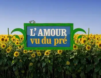 Saison 8 – affiche