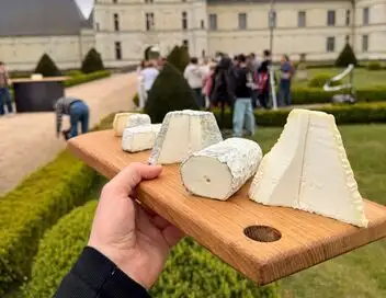 Le meilleur du fromage de chèvre – affiche