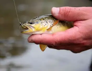 Québec à vol d'oiseau - Saison 16 - Pêche de la Ouananiche à la Pourvoirie Cécaurel – affiche