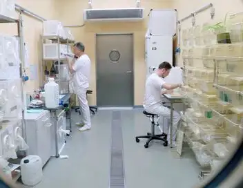 Virus et épidémies : l'île-laboratoire – affiche