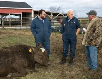 L'incroyable Dr Pol - Saison 2 - Chaud devant ! – affiche