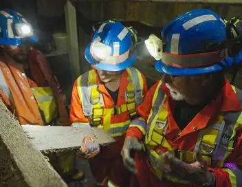 Le mystère d'Oak Island - Saison 11 - Grottes à remplir – affiche