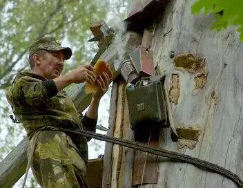 Les maîtres des abeilles - Saison 1 - Russie, les cavaliers du miel – affiche