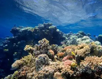 L'Australie vue du ciel - Saison 1 - La Grande Barrière de corail – affiche