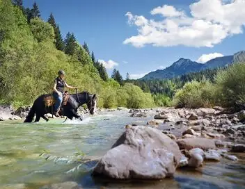 Sur le chemin des Alpes bavaroises : Une féerie de lacs et de châteaux – affiche