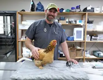 Les Vétérinaires du Midwest - Saison 3 - Mission : impoulsible – affiche