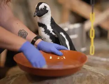 Nausicaá, dans les coulisses du plus grand aquarium d'Europe - Saison 1 – affiche