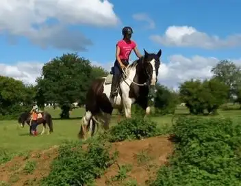 Au galop ! - Saison 6 - Irish Cobb ou Islandais ? – affiche