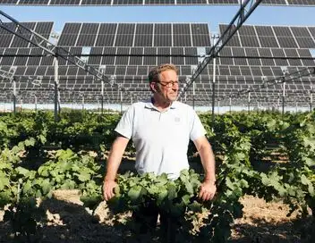 Bonnes nouvelles de la planète - S'emparer de l'énergie solaire – affiche