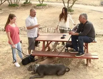S.O.S. Cesar - Saison 3 - Danger au ranch ! – affiche