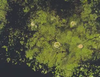 Les îles, laboratoires de la nature - Saison 1 - Les miracles du delta de l'Okavango – affiche